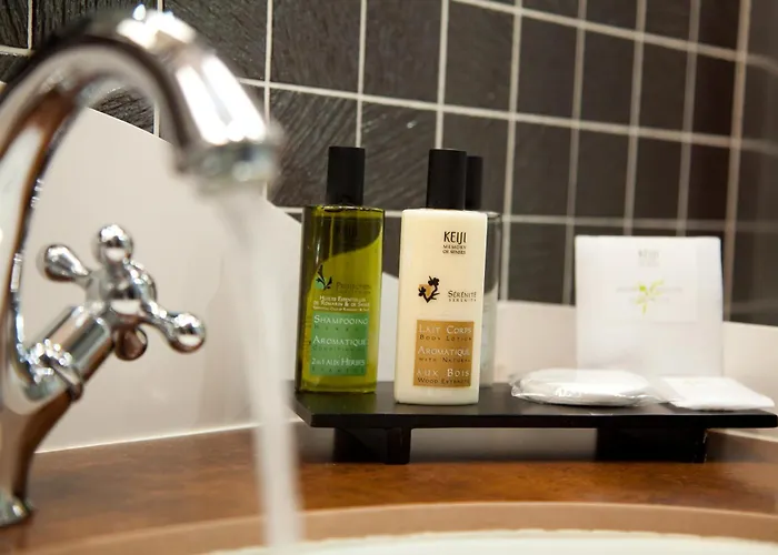 호텔 퐁텐 뒤 룩셈부르크 3*