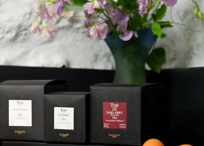 호텔 퐁텐 뒤 룩셈부르크 파리